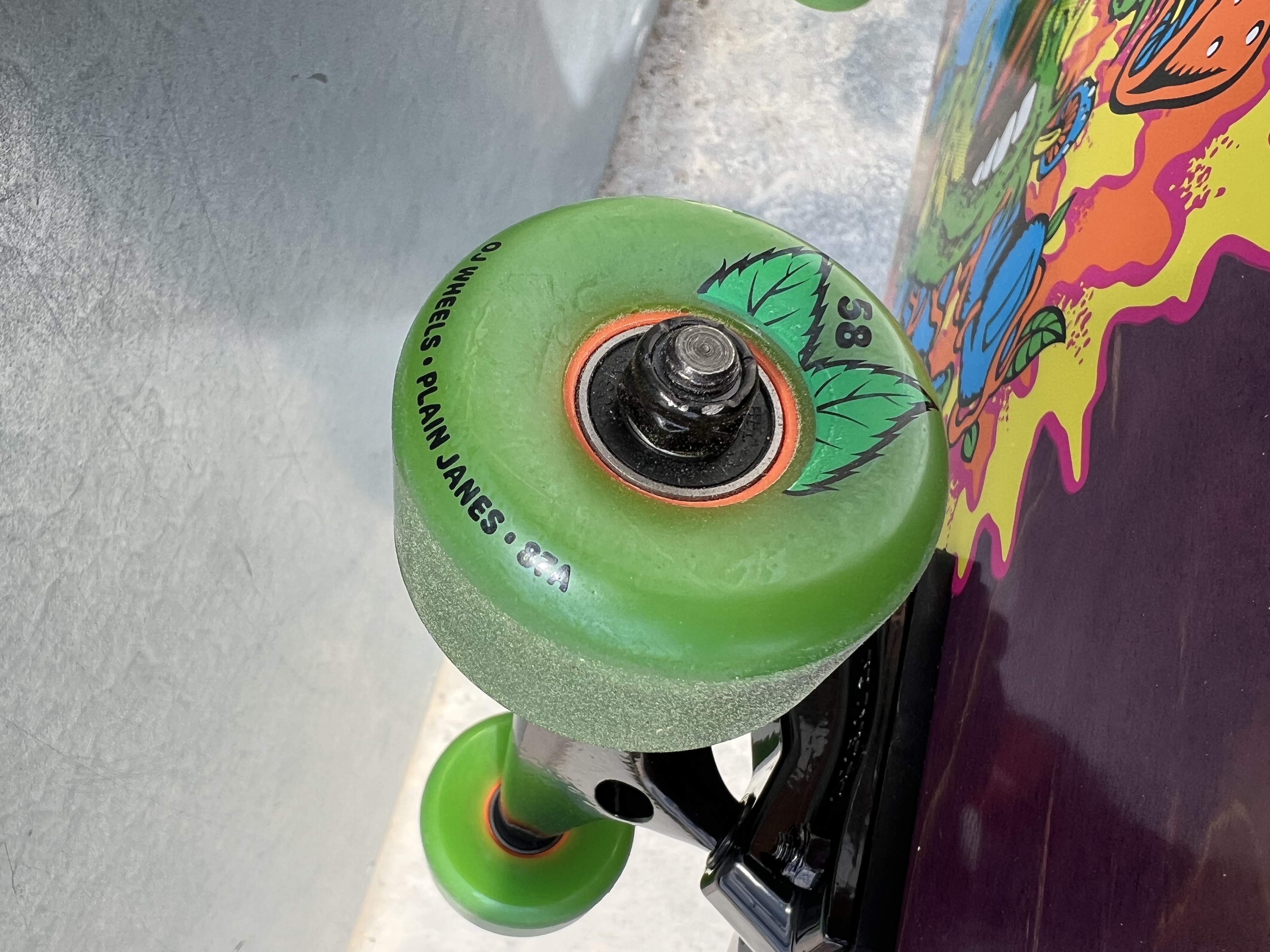 cruiser santa cruz