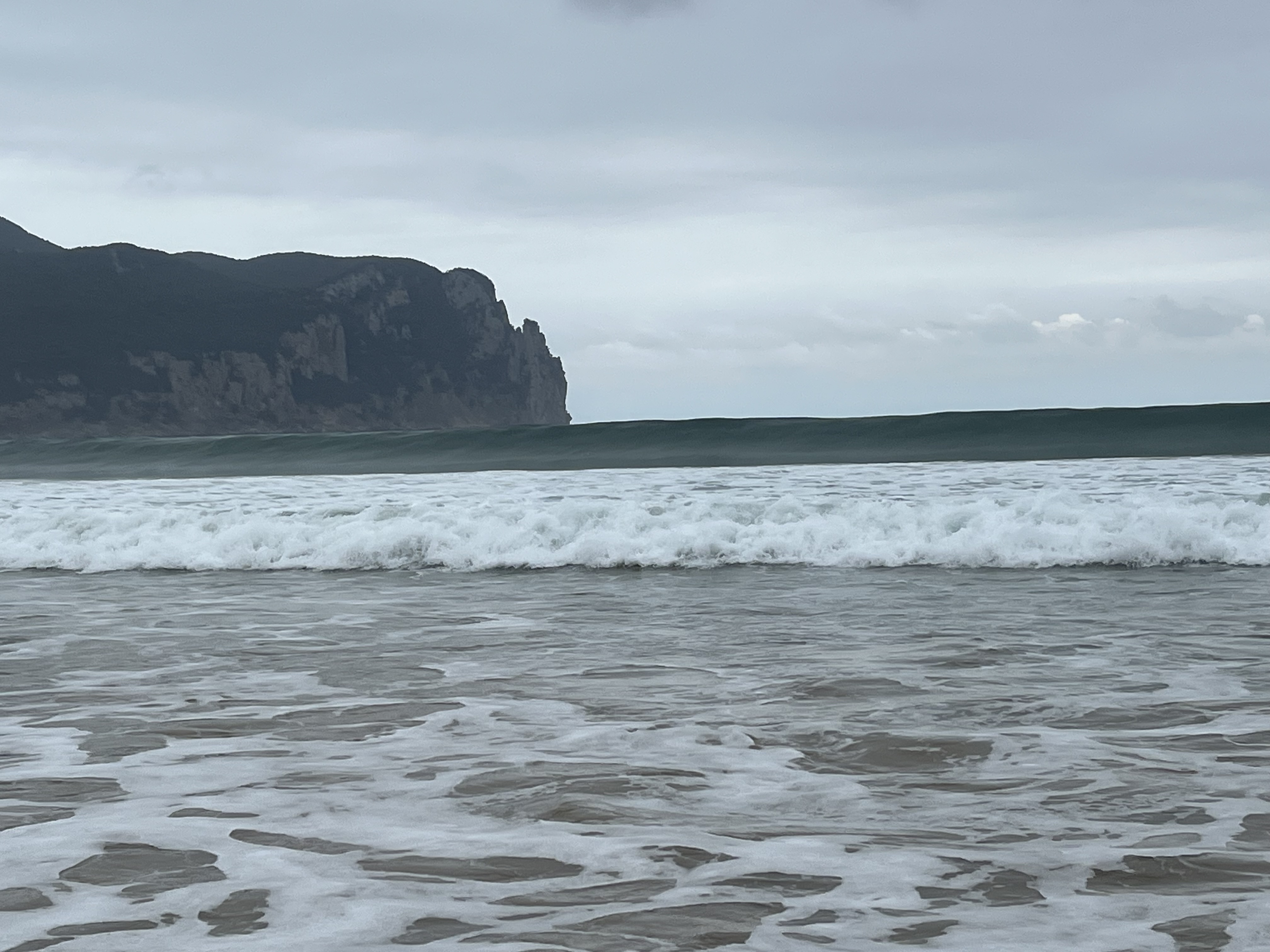 olas laredo agosto 2025