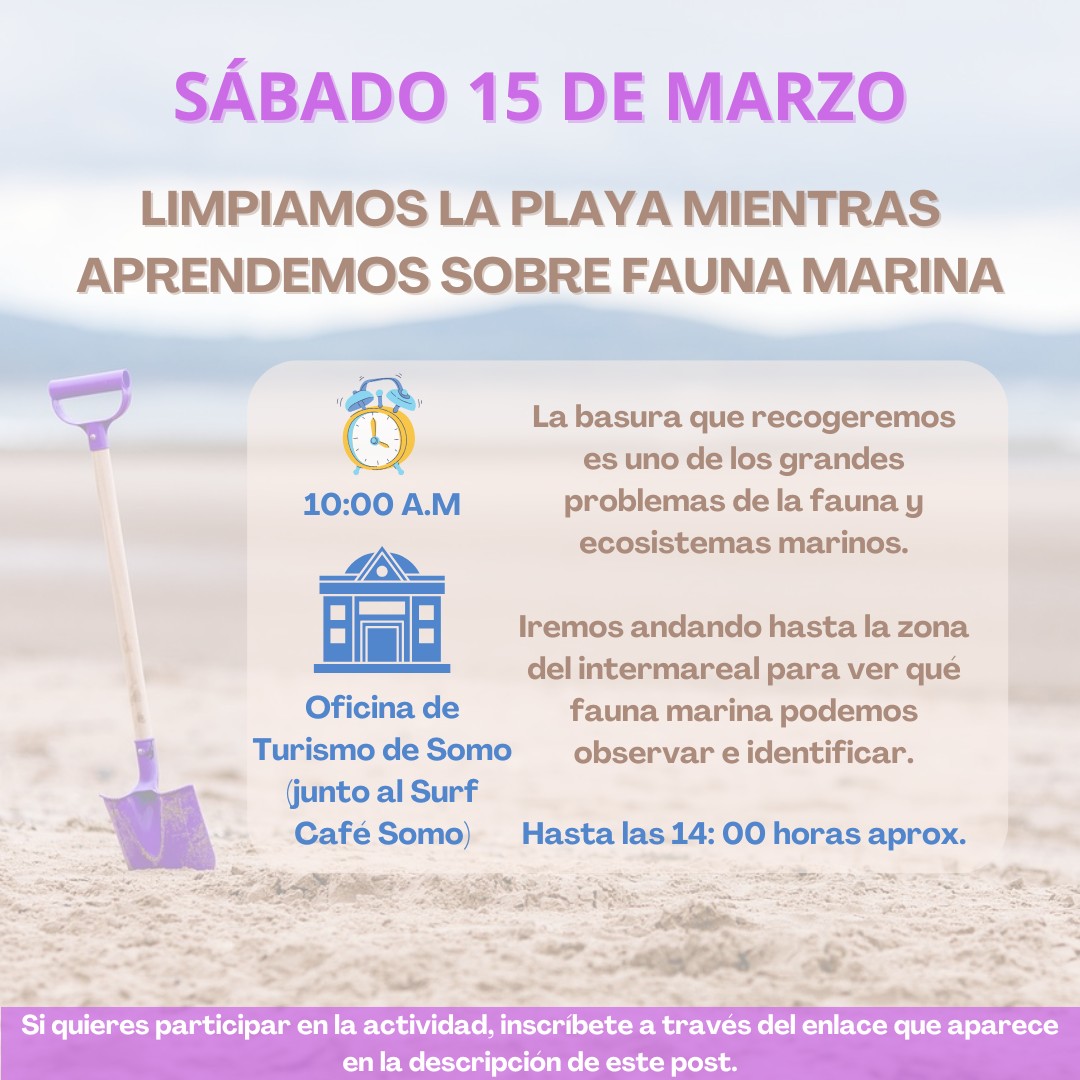 limpieza playa somo