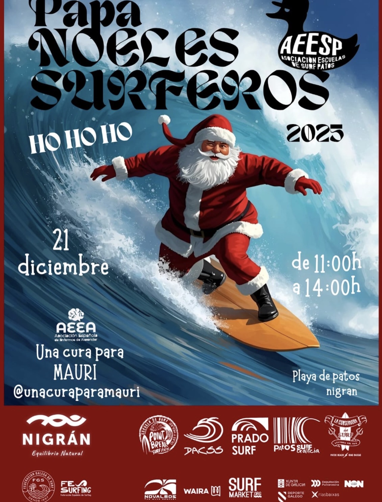 papa noeles surferos patos