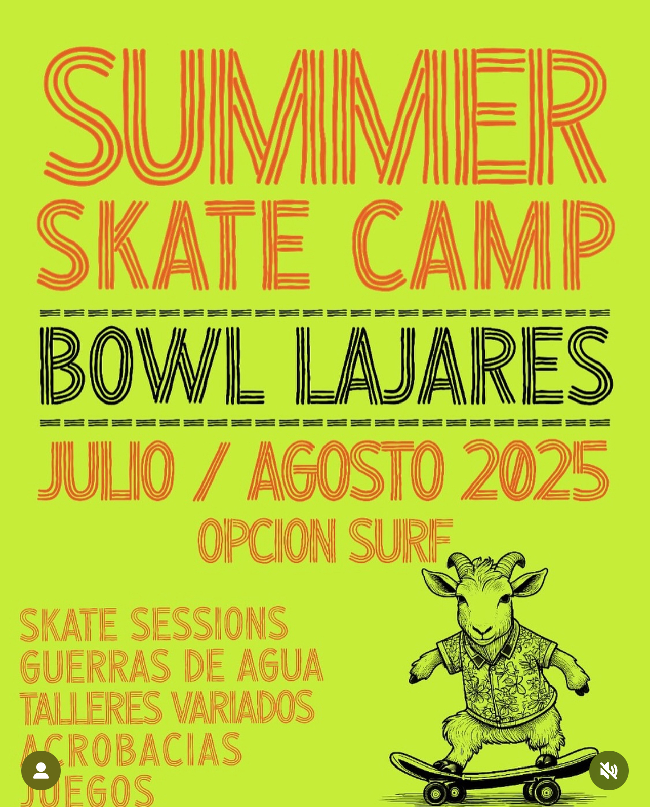 summer skate camps